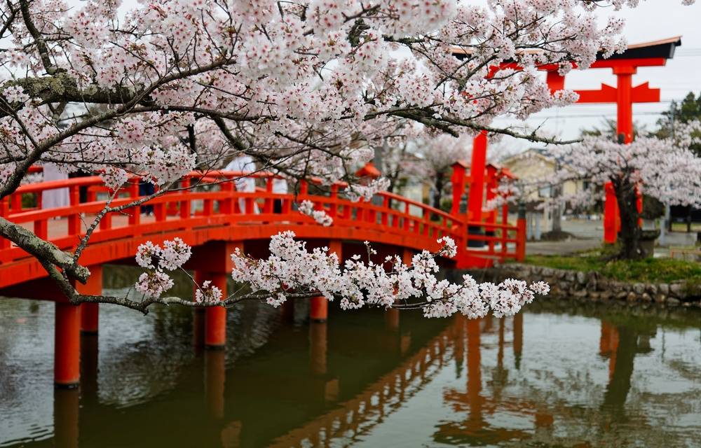 Klasik Japonya & Güney Kore Turu Türk Havayolları ile 7 Gece (ICN-NRT)