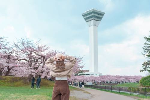 Japonya Turları
