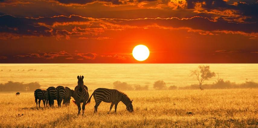 Görkemli Güney Afrika ve Safari 7 Gece - THY ile (2027 Kış Dönemi) (JNB-CPT) 