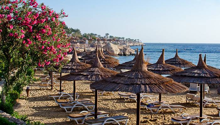 Sharm El Sheikh Turu Yılbaşı Özel Türk Havayolları ile 3 Gece Transfer Saatine Kadar Otel Kullanımlı — fotoğraf 3